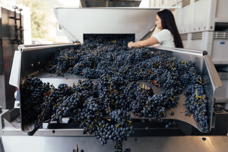 Museion Winery & Custom Crush photo 3