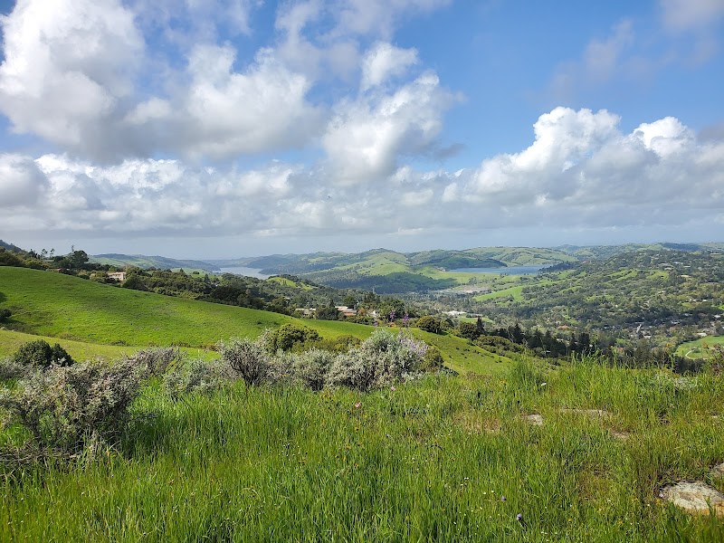 Photo of EBMUD De Laveaga trailhead