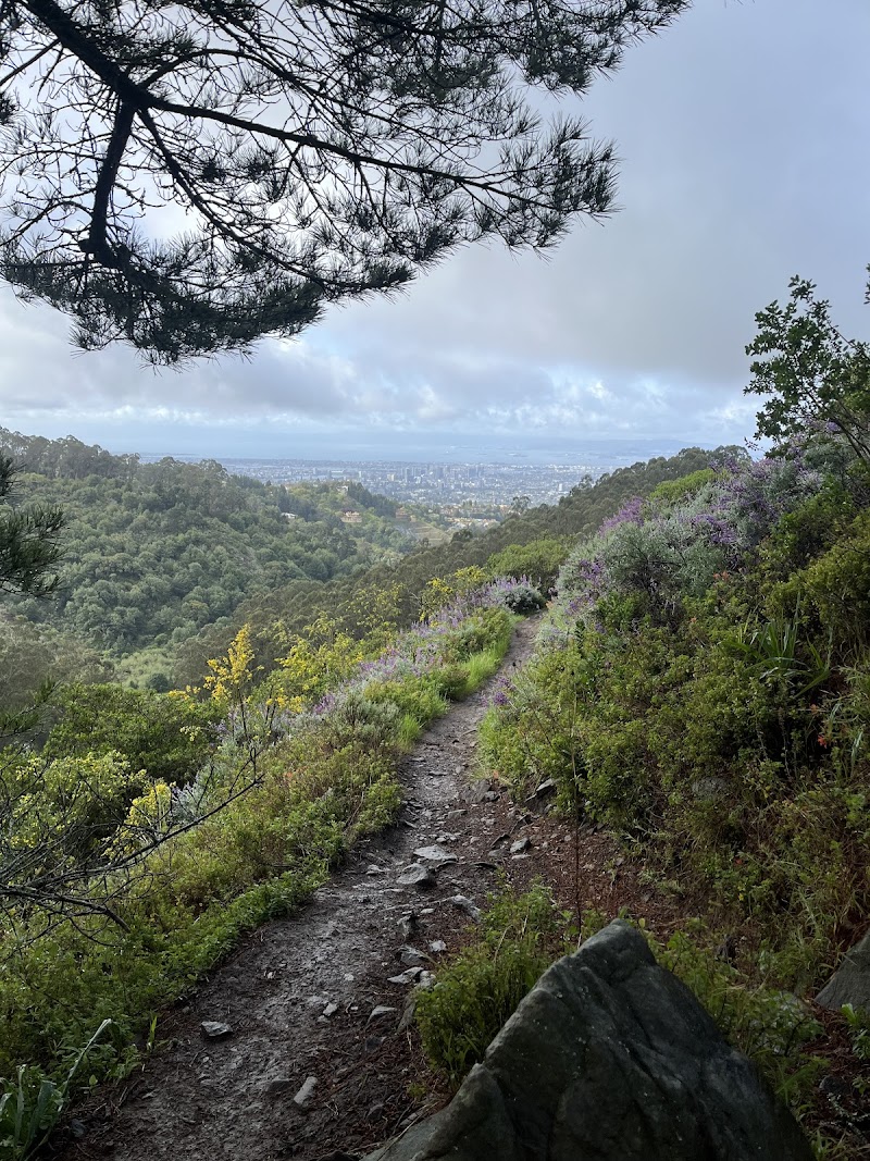 EBMUD De Laveaga trailhead photo 4