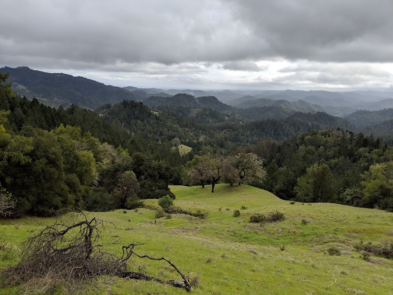 Austin Creek State Recreation Area photo 2