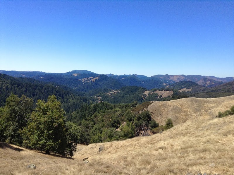 Photo of Austin Creek State Recreation Area