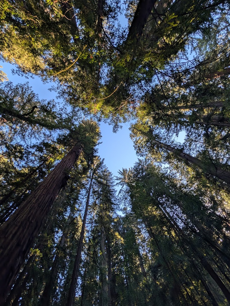 Austin Creek State Recreation Area photo 3
