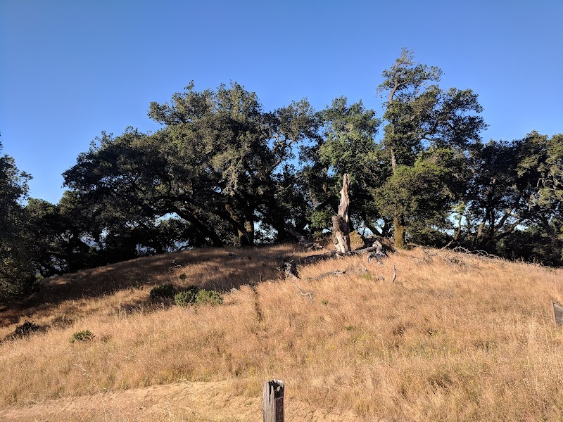 Austin Creek State Recreation Area photo 5