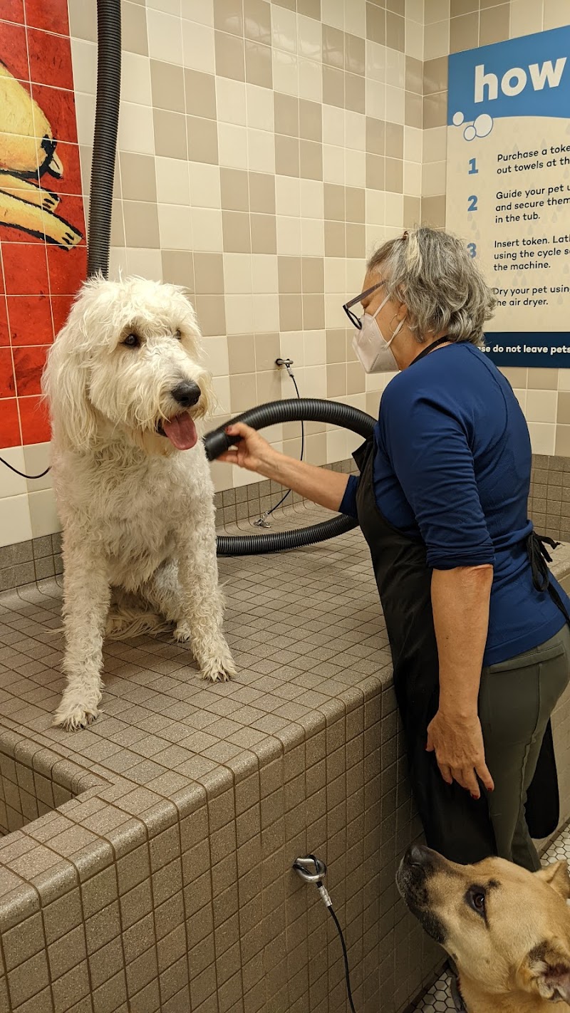 Pet Food Express photo 3