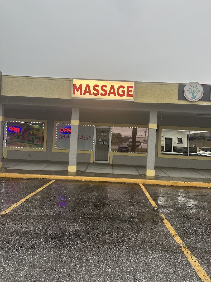 Palm Harbor Massage Spa photo 2