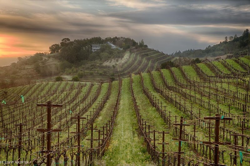 Blue Rock Winery photo 3