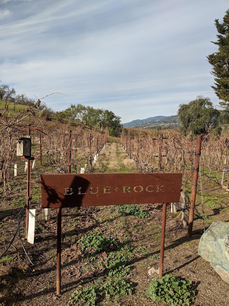 Blue Rock Winery photo 4