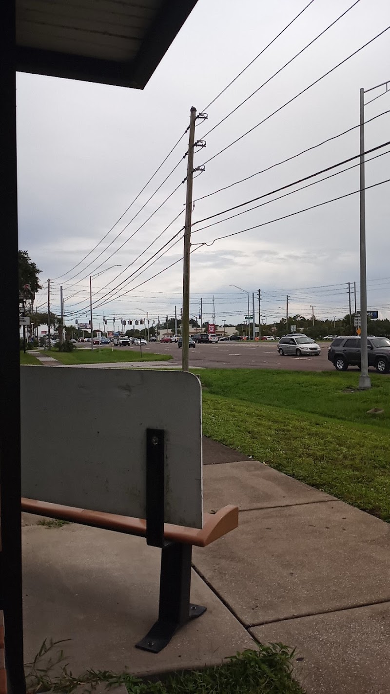 Us Hwy 19 N + Curlew Rd photo 2