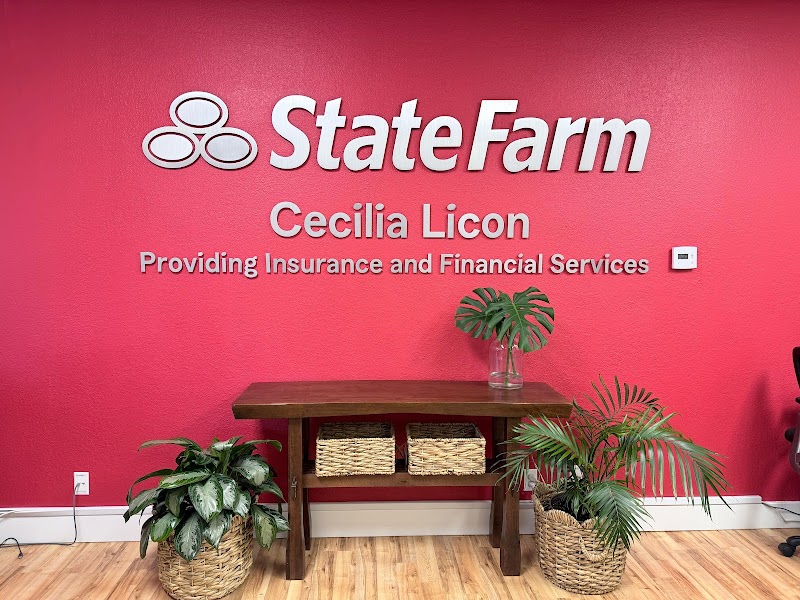 Cecilia Licon - State Farm Insurance Agent photo 3