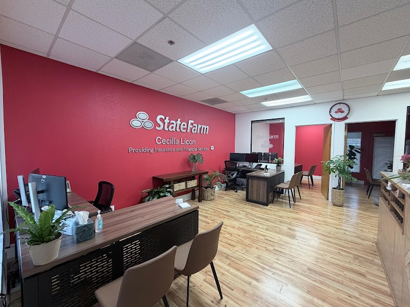 Cecilia Licon - State Farm Insurance Agent photo 2