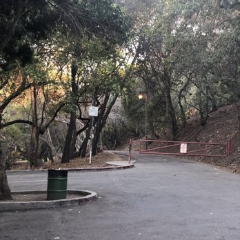 Carlos Bee Park photo 4