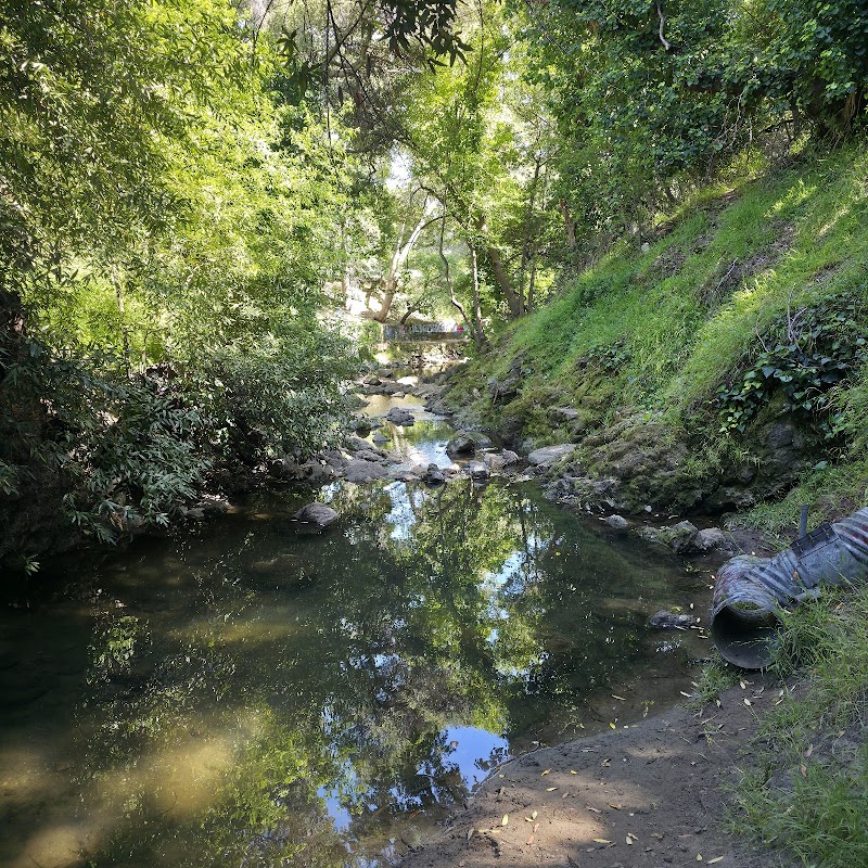 Carlos Bee Park photo 5