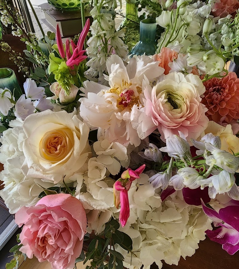Misaghi Design . Orinda Florist photo 3