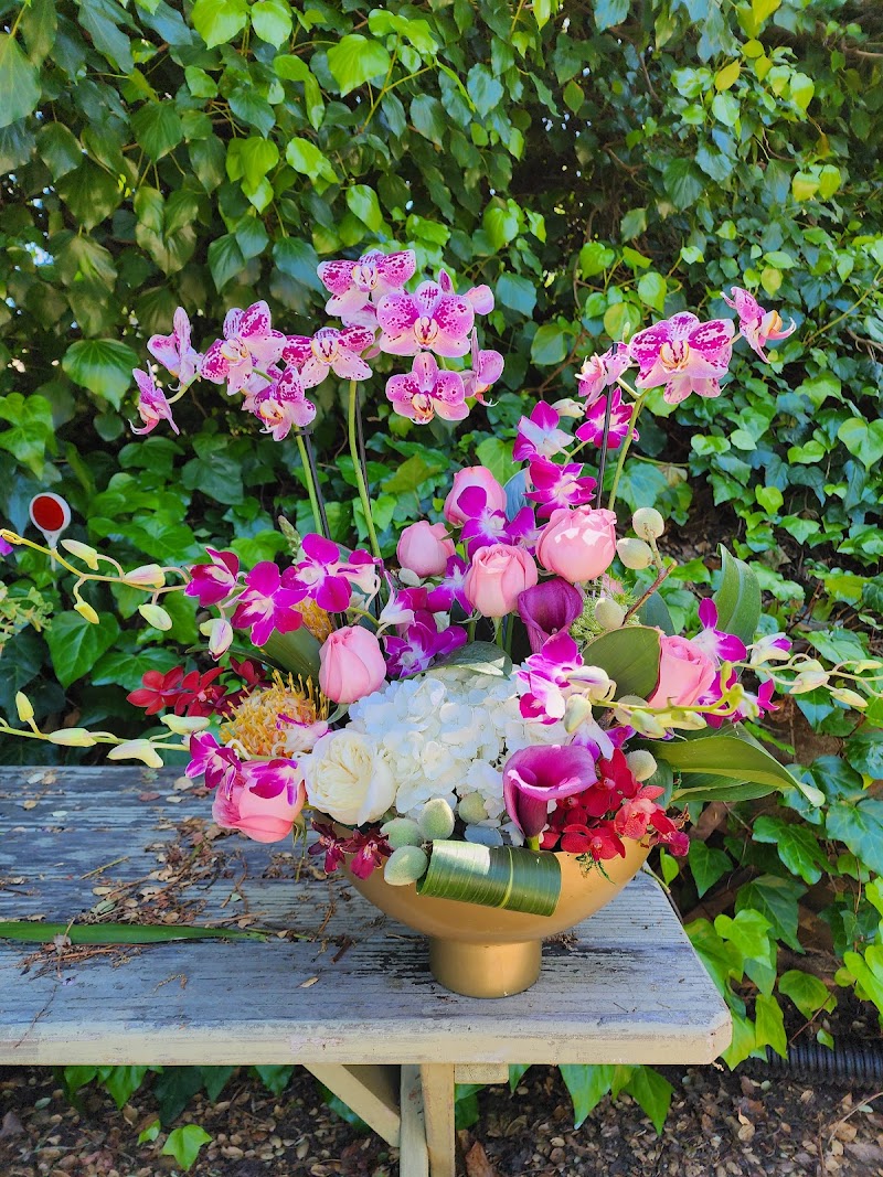 Misaghi Design . Orinda Florist photo 4