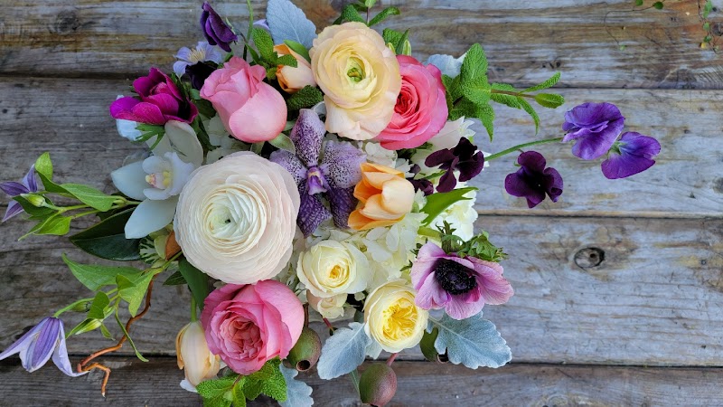 Misaghi Design . Orinda Florist photo 2