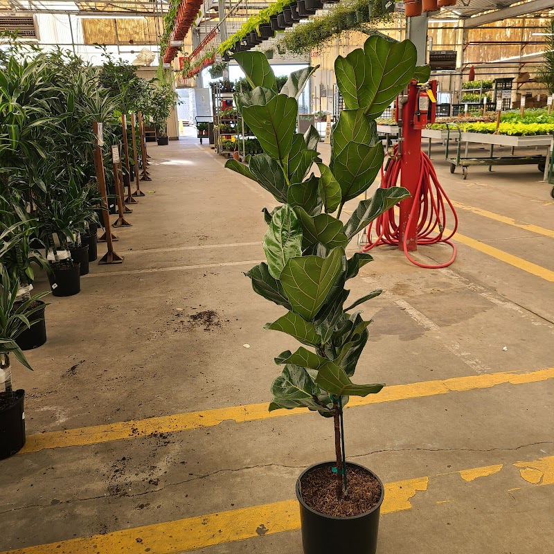 Rocket Farms Wholesale Center photo 5
