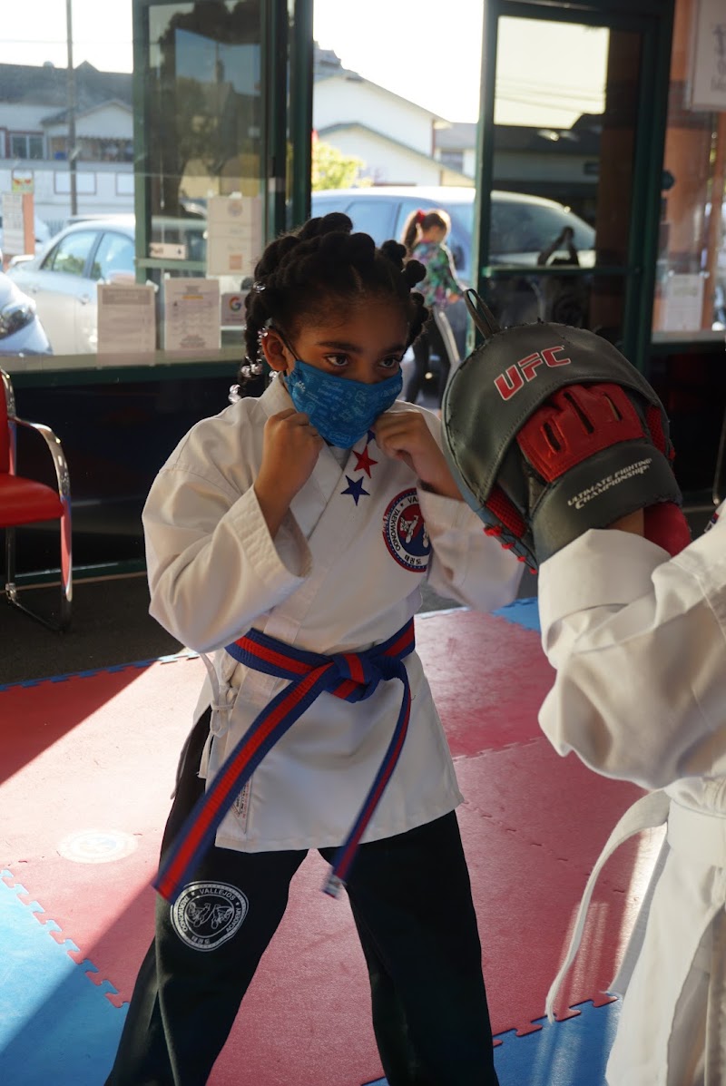 Vallejos Tae Kwon Do photo 5
