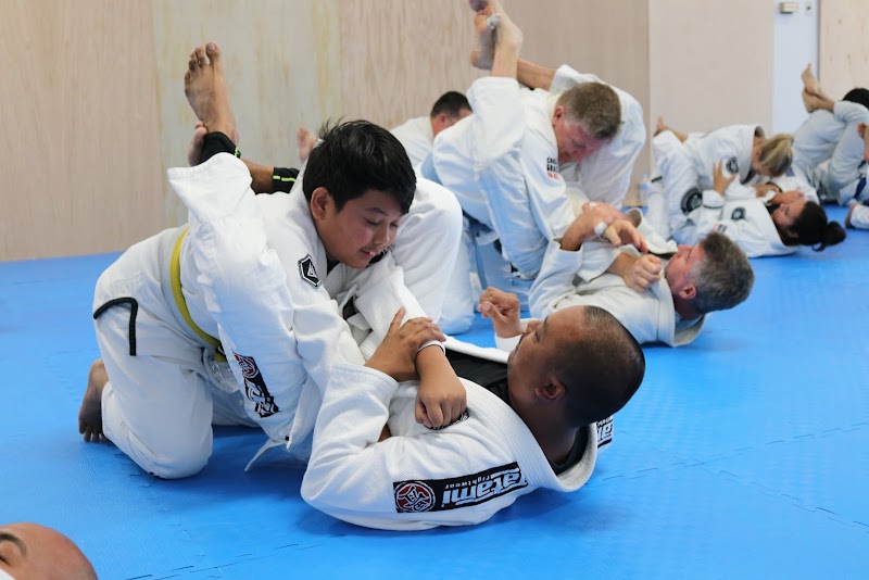 Miro's Taekwondo / Gracie Jiu-Jitsu Vallejo photo 3