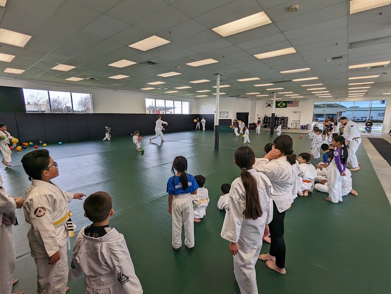 Miro's Taekwondo / Gracie Jiu-Jitsu Vallejo photo 2