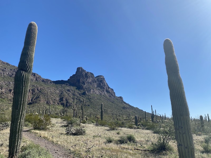 Photo of Picacho Peak Summit