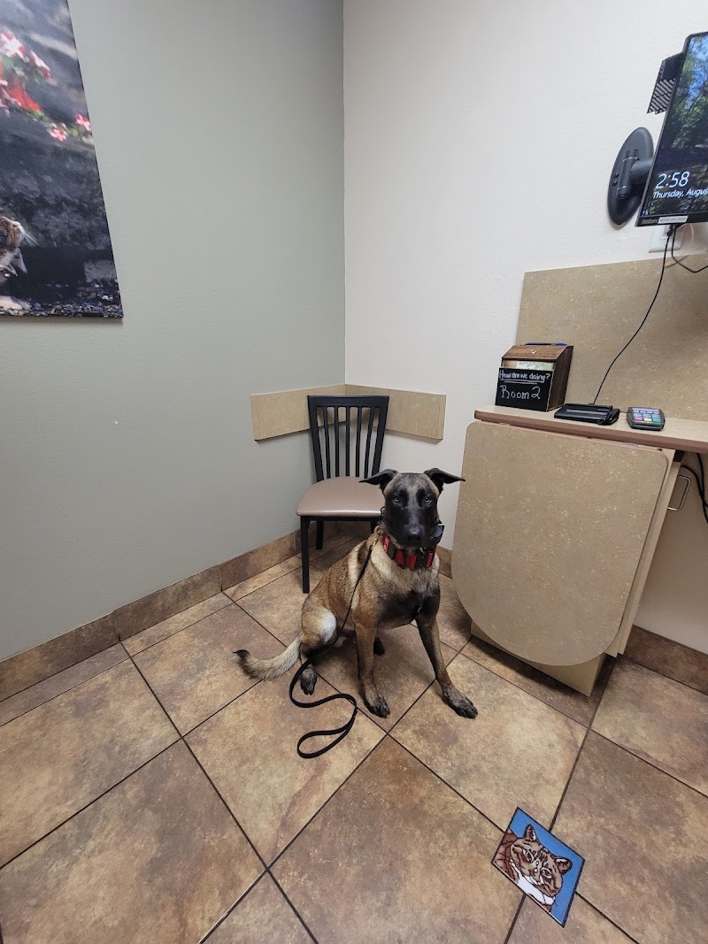 Lovet Pet Health Care - White Tanks photo 3