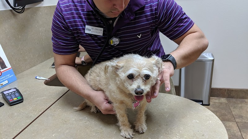 Lovet Pet Health Care - White Tanks photo 5