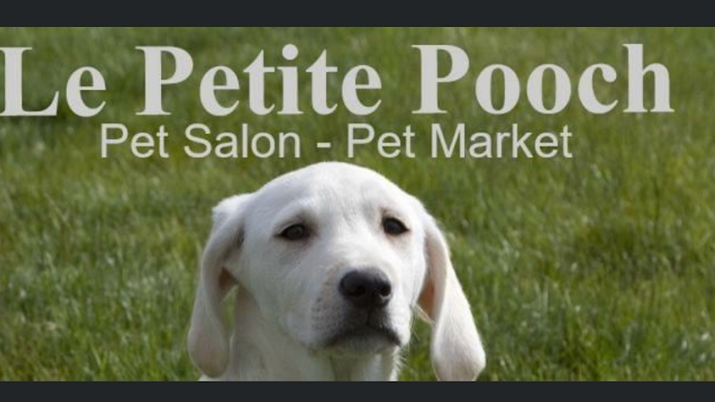 Photo of Le Petite Pooch