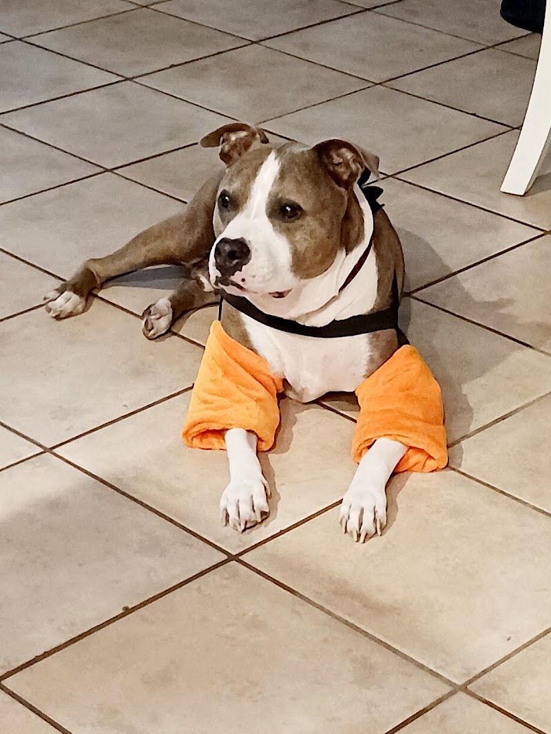 Photo of Bandana Rx