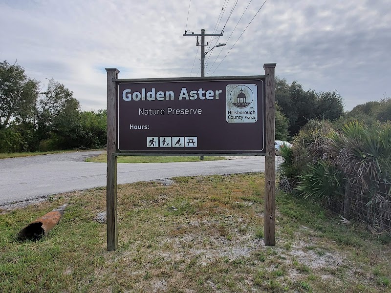 Golden Aster Scrub Nature Preserve photo 3