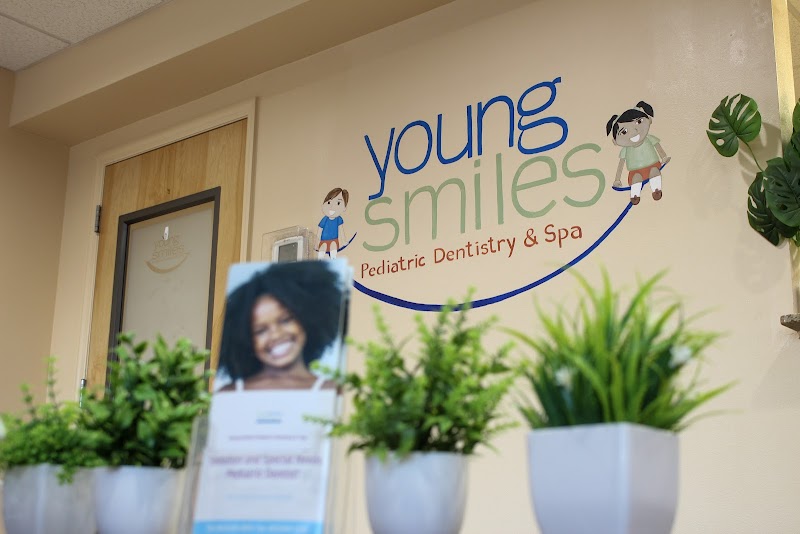 Young Smiles Pediatric Dentistry photo 3