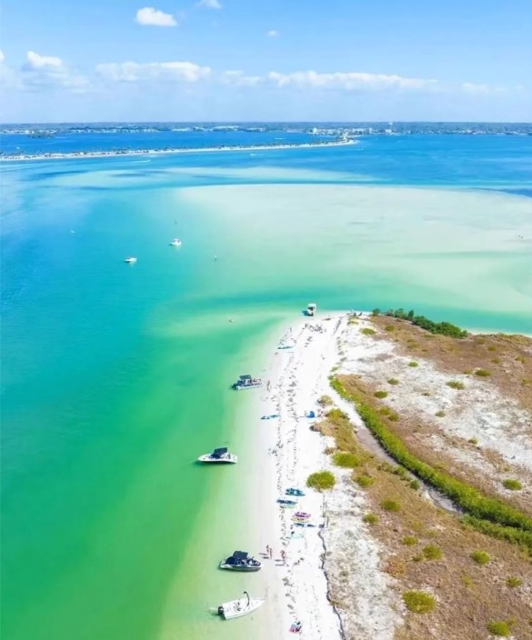Photo of Island Breeze Pontoon Rentals - Clearwater Beach, FL