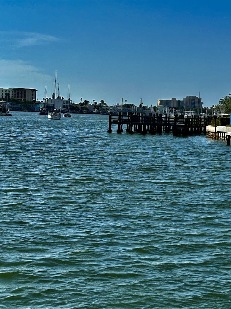 Island Breeze Pontoon Rentals - Clearwater Beach, FL photo 3