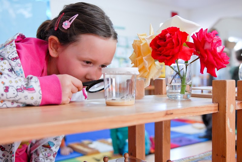Photo of Montessori Academy of Campbell