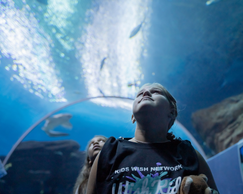 Photo of Kids Wish Network