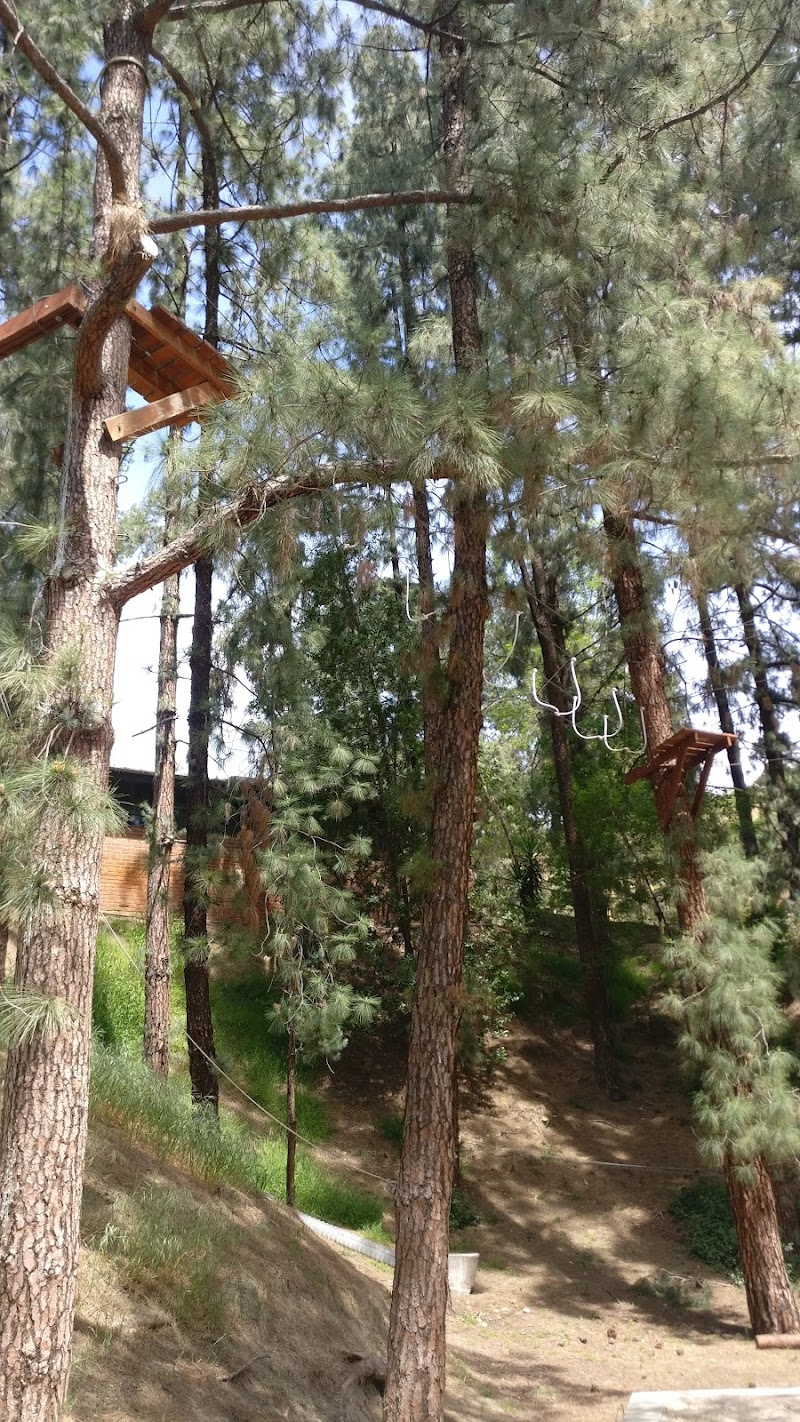 Camp Hollywoodland photo 5