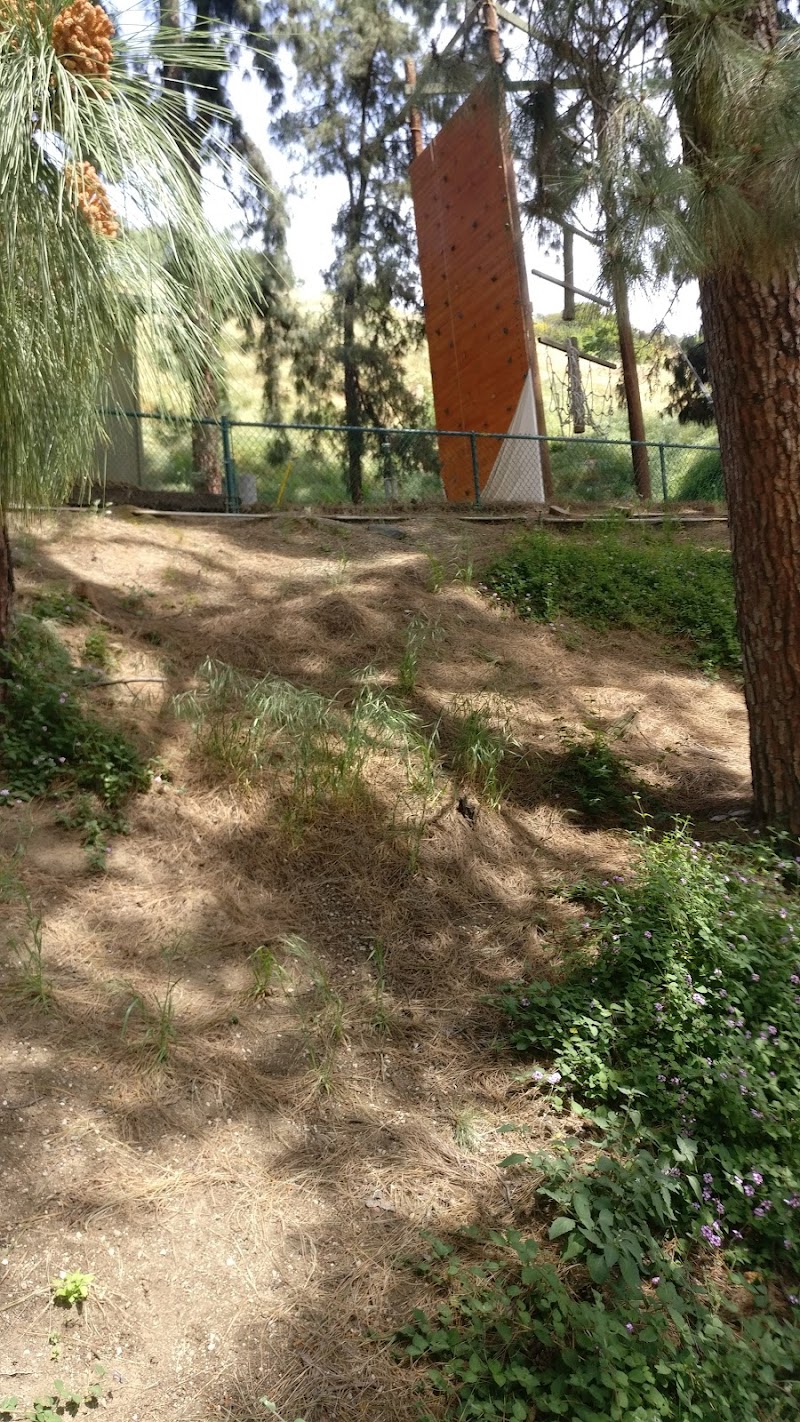 Camp Hollywoodland photo 2
