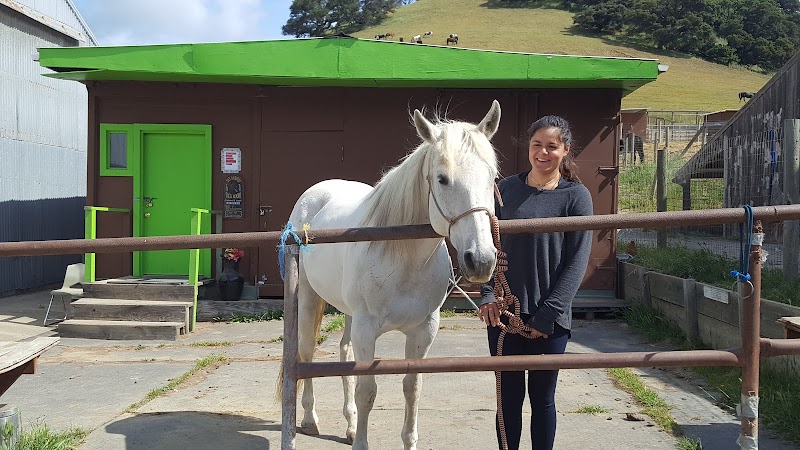 Photo of San Antonio Stables