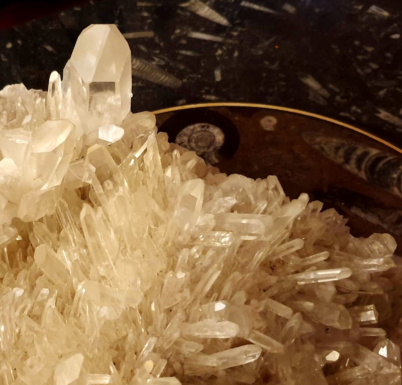 ArtSpirit Studio - Crystals, Fossils, Carvings, Collectables and Fine Art photo 5