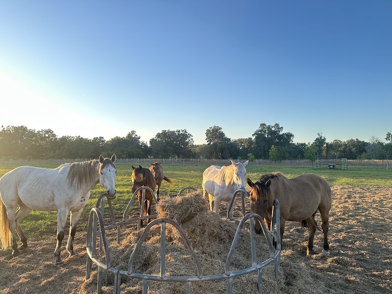 Sunshine Pastures Rescue and Sanctuary photo 2