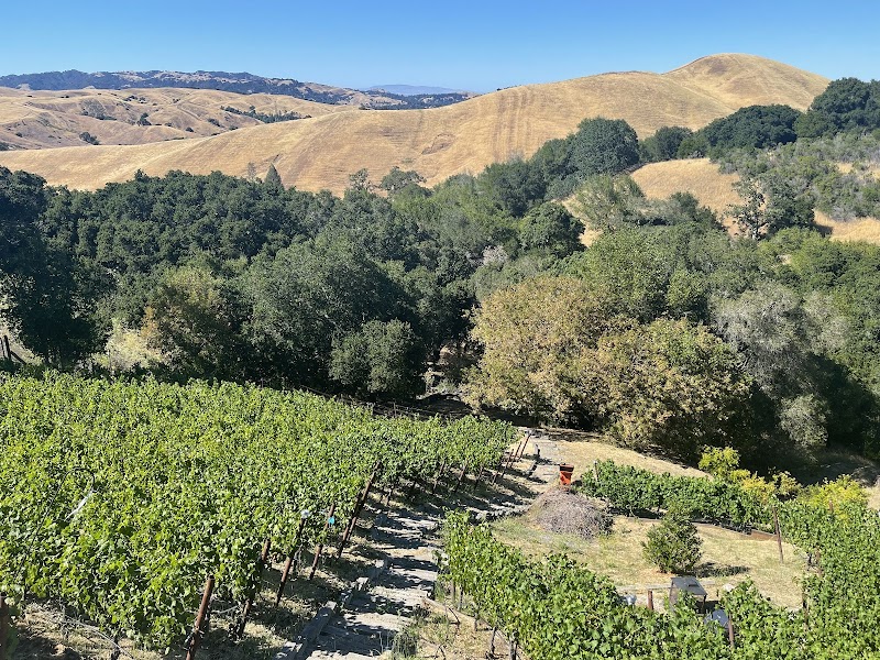 Captain Vineyards photo 3