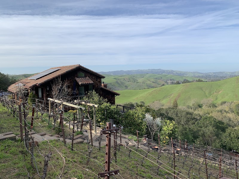 Captain Vineyards photo 5