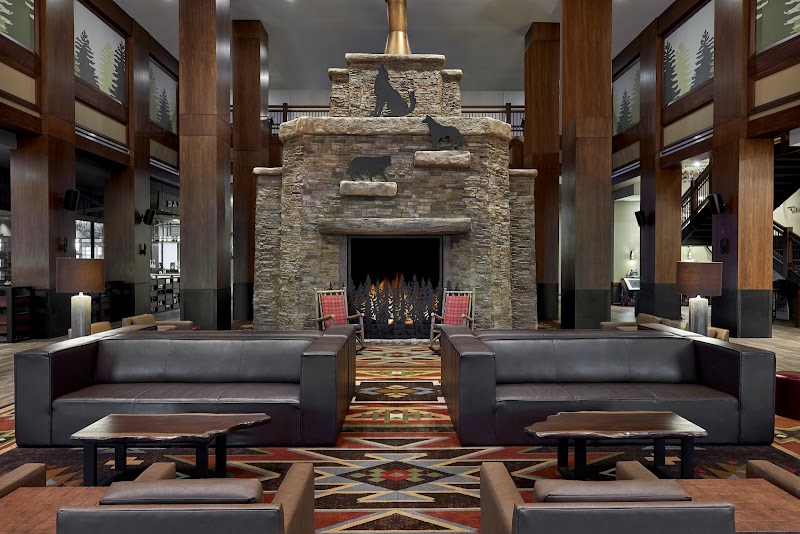 Great Wolf Lodge | Arizona photo 5