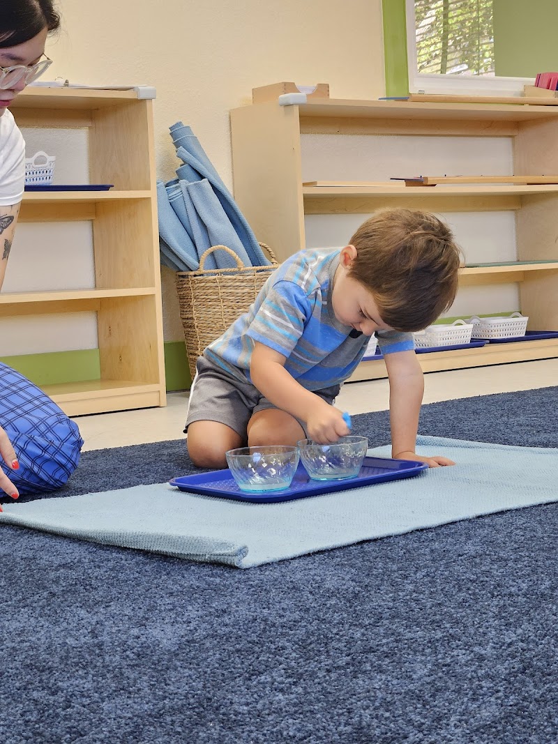 Learn and Play® Montessori School & Child Care Hercules photo 3