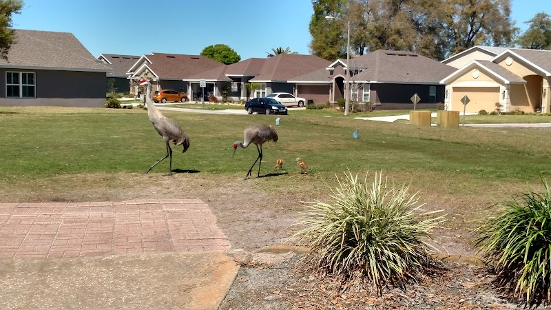 Meadow Oaks Golf and Country Club photo 4