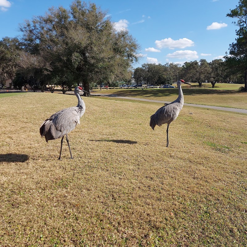 Meadow Oaks Golf and Country Club photo 3