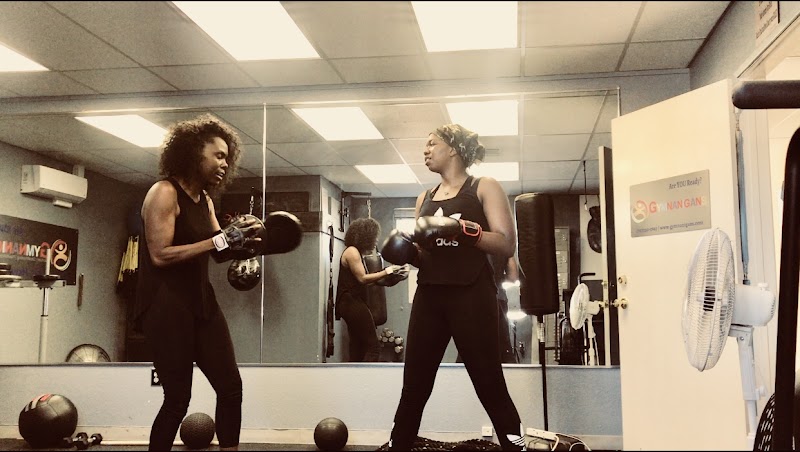 Gymnanigans Training Studio photo 4