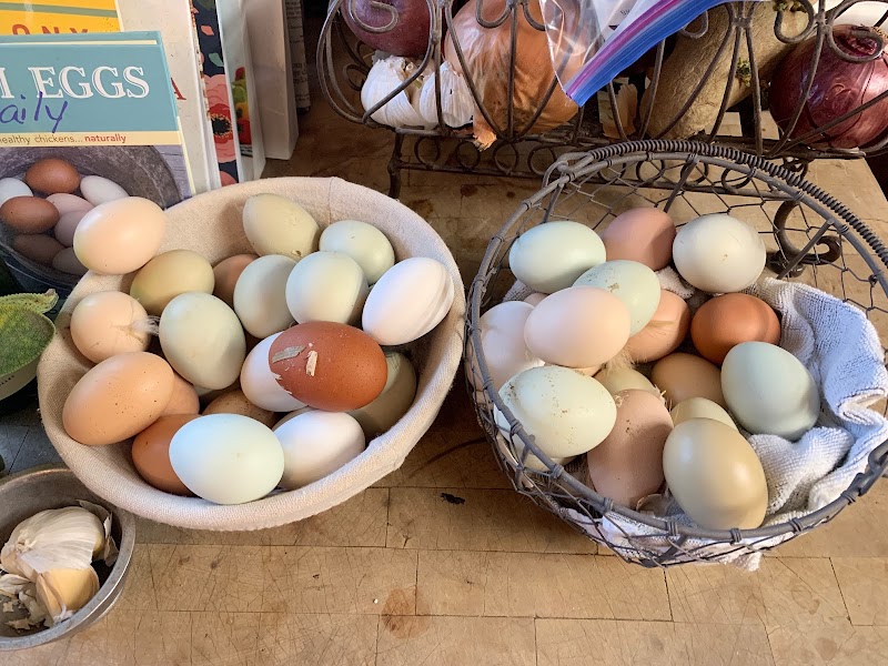 Alchemist Farm photo 3