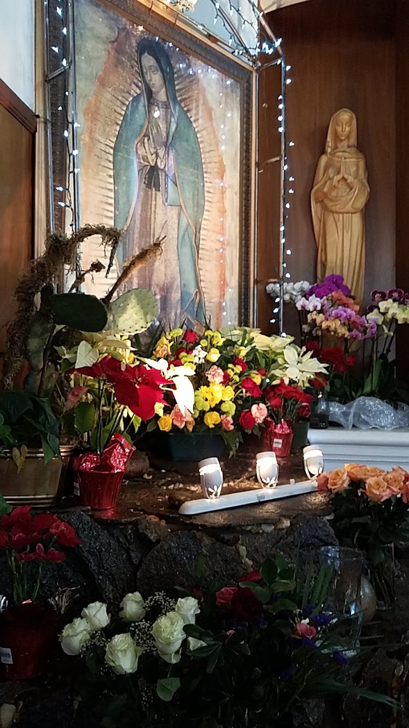 Saint Francis of Assisi Catholic Church photo 3