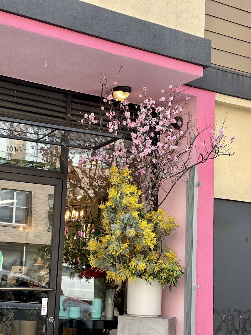 Photo of FIKA FLOWERS