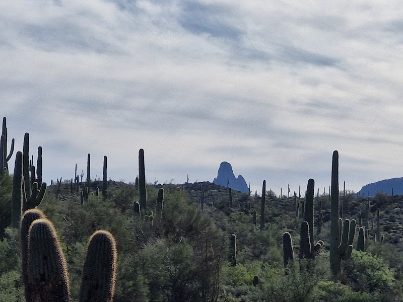 Photo of Weaver's Needle Vista Viewpoint